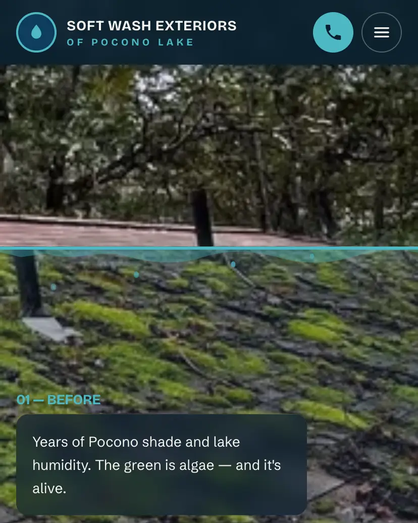 Soft Wash Exteriors homepage — a full-bleed photograph of a moss-covered roof under the headline Watch the grime let go.