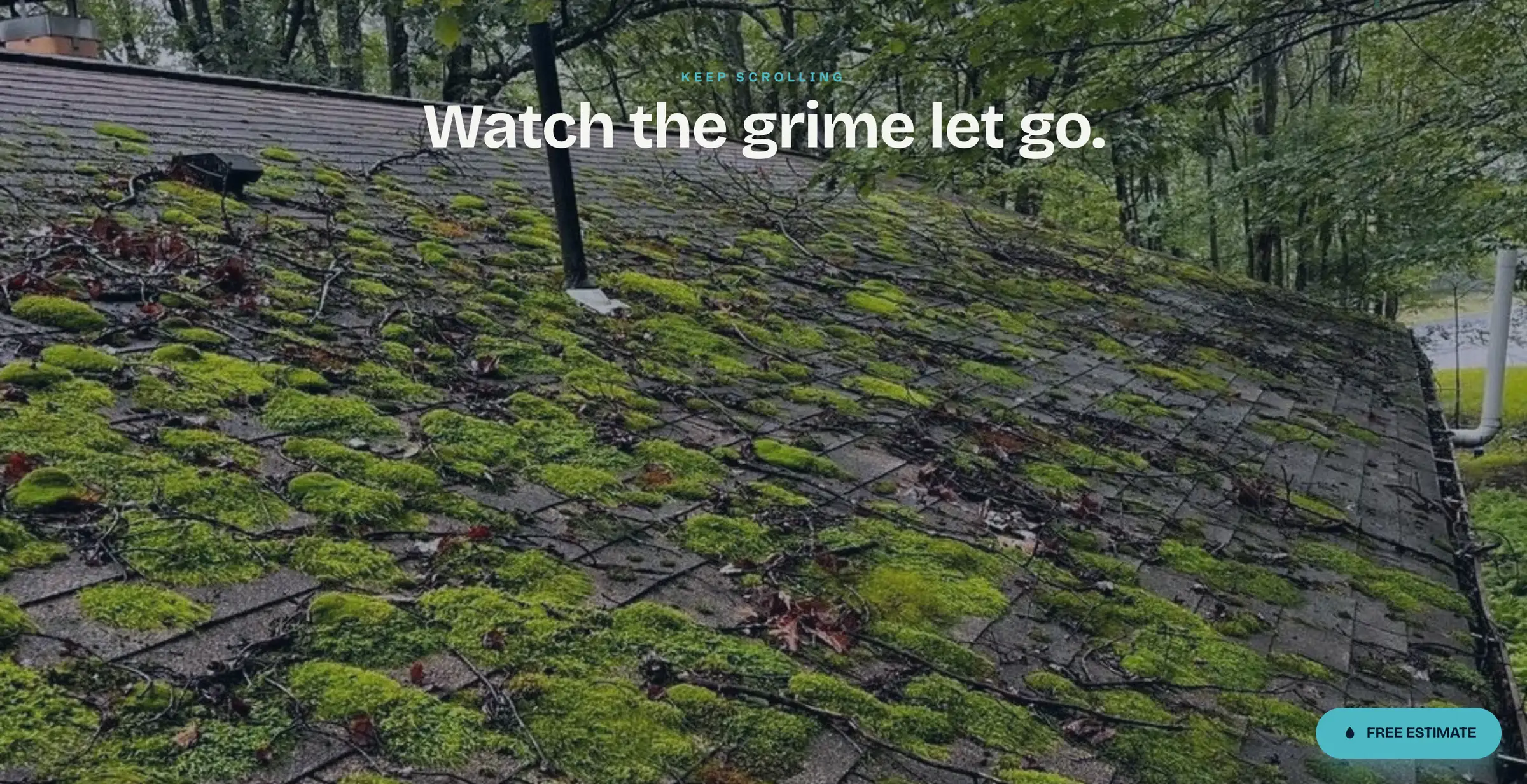 Soft Wash Exteriors homepage — a full-bleed photograph of a moss-covered roof under the headline Watch the grime let go.